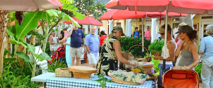 Kauai Grown Retailers