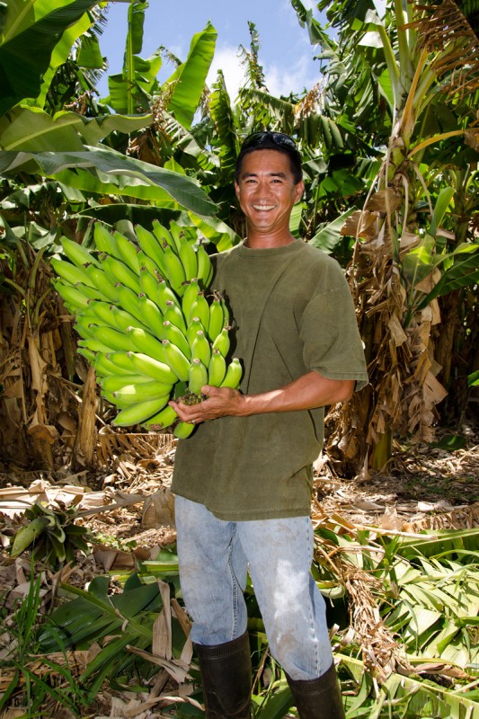 Kauai Grown member 
          Yoshii Farms