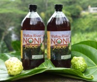 Wailua River Noni